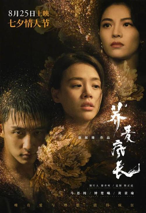 中级职业资格证书需要什么学历